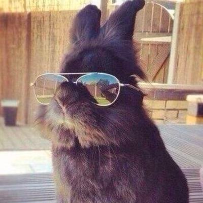 gerasimumaximum's profile picture. 