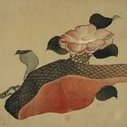 GVMNKJE47l92301's profile picture. 普通の目立たない刺身で酒を嗜むオジ　177/65