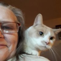 Christine (@justsaying58) 's Twitter Profile