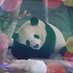 櫻井パンダ (@sakurai_panda_) Twitter profile photo 櫻井パンダ (@sakurai_panda_) Twitter profile photo