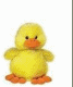 fuzzy_duck101