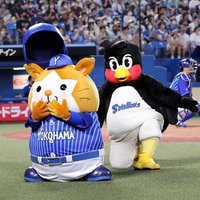 りゅう (@ryu07_bay) 's Twitter Profile