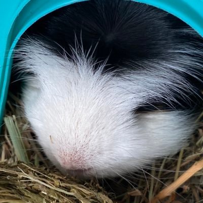 Cammyboy49's profile picture. 