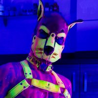 Pup Null 🔜 Confuzzled (@pup_null) 's Twitter Profile