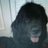 Cittaglia's profile image