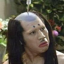 だねさんのプロフィール画像