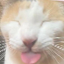 Spoopys (@spoopys_art) Twitter profile photo Spoopys (@spoopys_art) Twitter profile photo