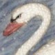 SwanBoatSteve Profile Picture