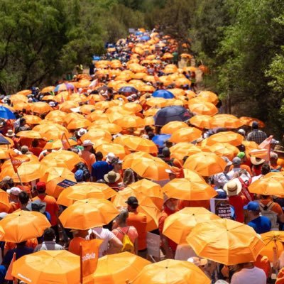 Remo7068's profile picture. 