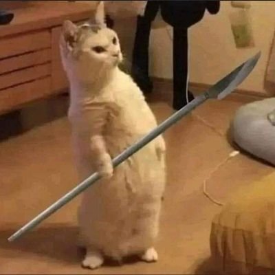 imalif99's profile picture. FC Barcelona and Argentine Football Enthusiast. Love to talk about football in general 🧒