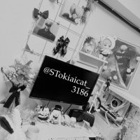 **陽乃** (@stokiaicat_3186) 's Twitter Profile