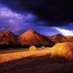 West Lothian News, Weather & Travel Updates (@ygwhitburn) Twitter profile photo West Lothian News, Weather & Travel Updates (@ygwhitburn) Twitter profile photo
