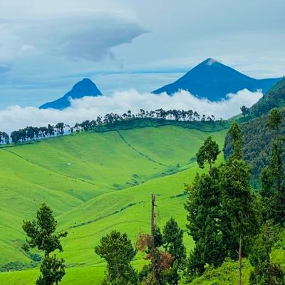 gasaboRwanda's profile picture. 