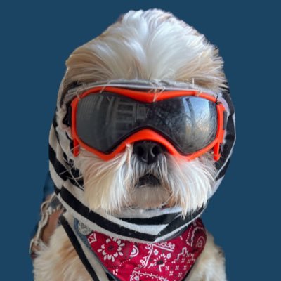 ぽん ず (@pon_tzu) / X