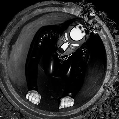 kinky pup| bondage lover| proud alpha Insta:@pupaston_pb22
Beta @PupDelius @pupper_tommy
Omega @puptanzan
delta @drakenfel_kink
gamma @mace2k22