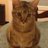 olipe13's profile image