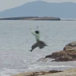 janolhaja's profile picture. 