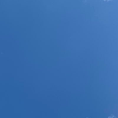 りんごさんのプロフィール画像