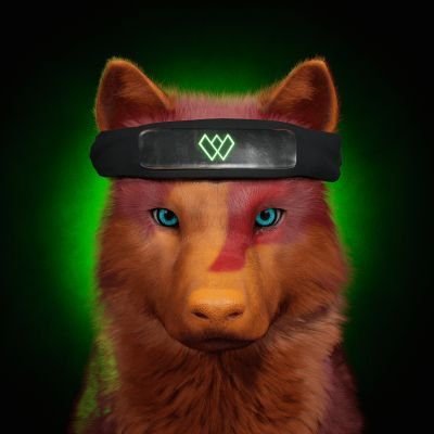 HunnybooJali's profile picture. "jayohhvee.eth