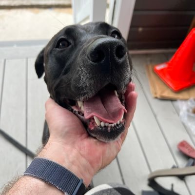 Adrockz28's profile picture. 