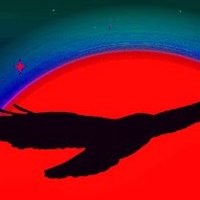 Nachtfalke (@nachtfalke1000) Twitter profile photo