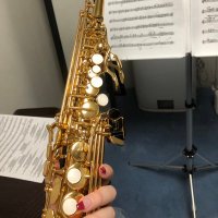 べー🎷サックス垢 (@beee_sax) 's Twitter Profile