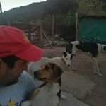 joseCano_Moya82's profile picture. 