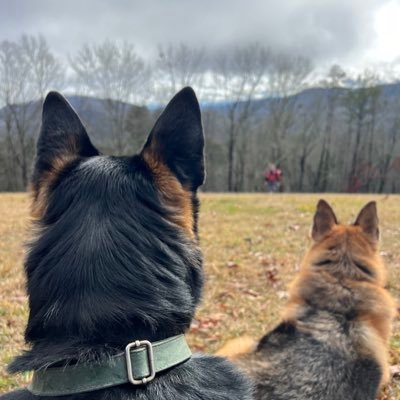 timberspalms's profile picture. Father, husband, disabled veteran, LEO & proud American 🇺🇸. Leave this place better than you found it. 45-47 is my president 🇺🇸🇺🇸🇺🇸