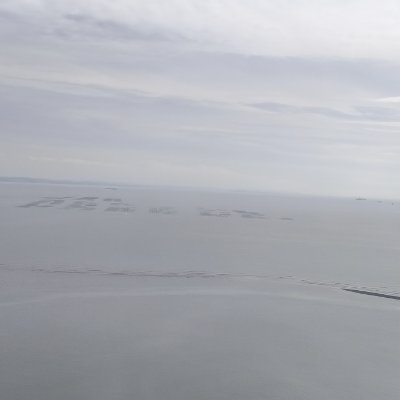 emdsvANcKq47598's profile picture. 