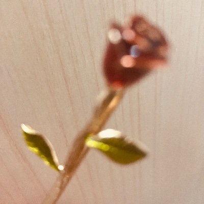 Korp_Si's profile picture. しりゅうです