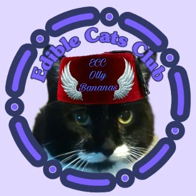 Lifelong Wolves fan
PROUD TO BE HEAD BARMAN, OLLY BANANAS, EDIBLE CATS CLUB
Best friends, Nacho, Buddy and Minnie.
#Hedgewatch
#TheAviators
#EdibleCatsClub