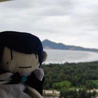红尘宛哥 (@hongchen6988) 's Twitter Profile