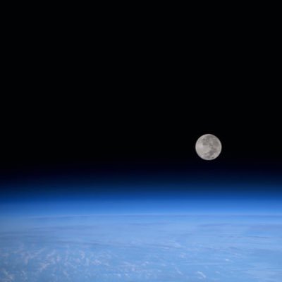 whitefox0202's profile picture. 