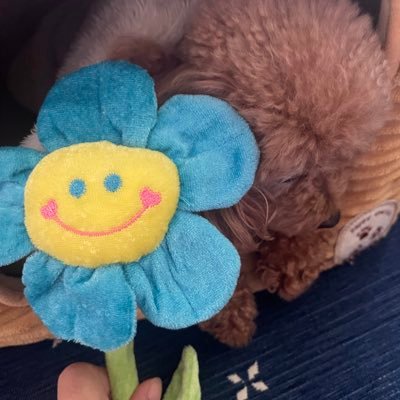 oQ421oAStcCWdhw's profile picture. 23/160/64/Fです❣️写メ送れません🙇‍♀️