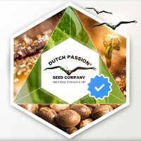 Dutch Passion (@dutchpassion_) 's Twitter Profile