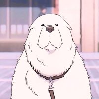 cdzeno (@cdzeno) 's Twitter Profile Photo cdzeno (@cdzeno) 's Twitter Profile Photo