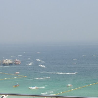 pradipaongy's profile picture. 