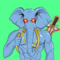 Pets MEA (@petsmea) 's Twitter Profile