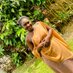 Apo🍎 (@apuryn) Twitter profile photo Apo🍎 (@apuryn) Twitter profile photo