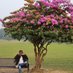 Ketan Gandhi (@ketangandhi101) Twitter profile photo Ketan Gandhi (@ketangandhi101) Twitter profile photo