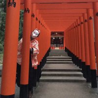 ico (@sayonara_otn) 's Twitter Profile