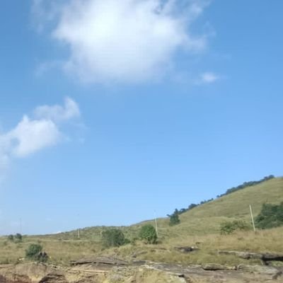 Zachalee0709's profile picture. 