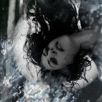 maud the moth (@maudthemoth) 's Twitter Profile