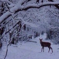Halloknut L’eau vive (@leau_____vive) 's Twitter Profile