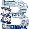 TonyHawes7's profile picture. What you see is what you get, does exactly what it says on the tin. Can’t be any more Blue ‘n’ White than that. #KRO 👍🏻⚽️