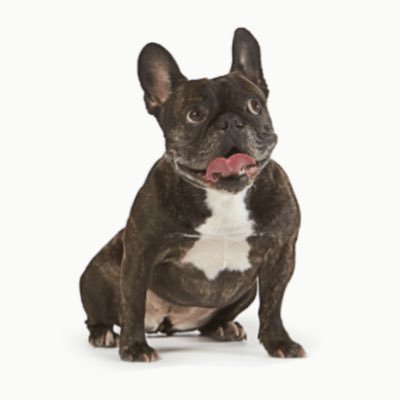 bull_blue_bull's profile picture. スモールビジネス経営/ex-外資戦略ファーム/読書記録/PEの投資ポートフォリオ眺めるのが趣味