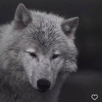 Social X (@spacesocialx) 's Twitter Profile