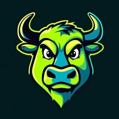 $BULLRUN Meme Token, crypto pump like the raging bull