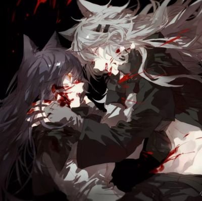 QL186's profile picture. 安