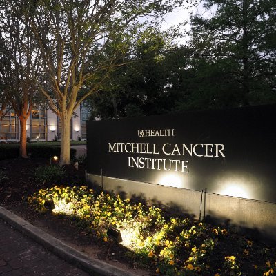 Gynecologic Oncology research at USA MCI under the direction of Dr. Kevin Lee. Follow for science updates!